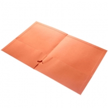 益而高（EAGLE）3001P001 内附插袋纸皮文件夹/纸夹子/纸质分类卡/挂劳纸夹 A4有插袋 20个/包 橙色