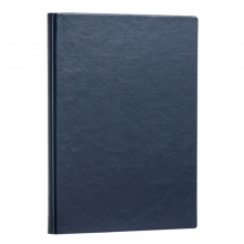 得力（deli）3185 商务办公笔记本/仿皮本/皮面本 B5（16K）-160页 蓝色