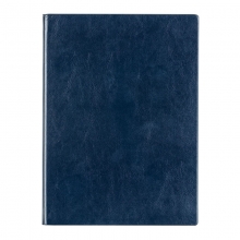 得力（deli）3185 商务办公笔记本/仿皮本/皮面本 B5（16K）-160页 蓝色