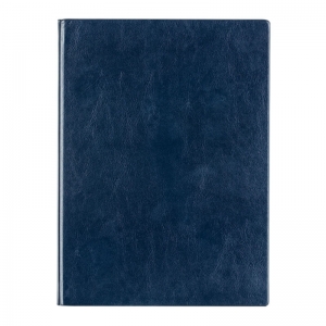得力（deli）3186 商务办公笔记本/仿皮本/皮面本 A5（25K）-160页 蓝色